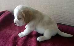 Starz Girl 3 Week 4 Side
